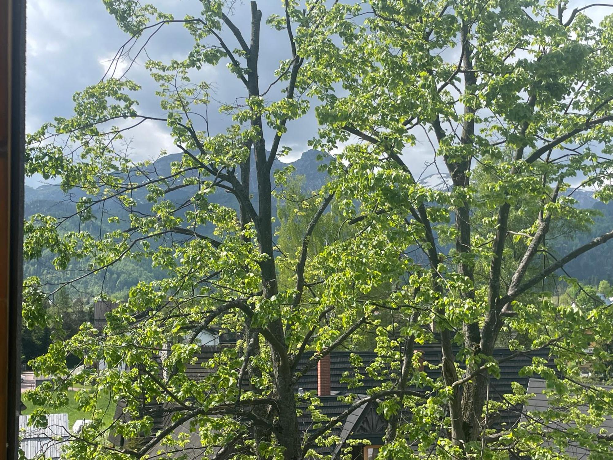Apart-Center Zakopianskie Tarasy Spa Zakopane Esterno foto
